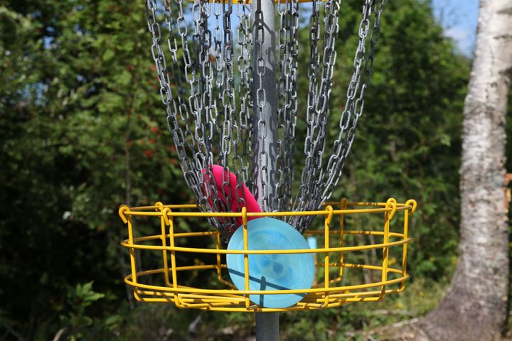 Discgolfkorg med en blå och en rosa disc insamlade.
