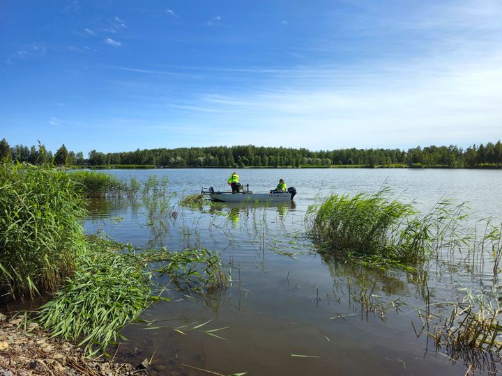 Två personer i en båt på en sjö omgiven av vass och träd i bakgrunden under en klarblå himmel.
