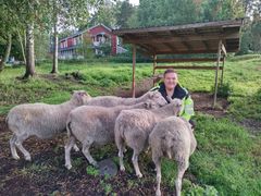 Hankekoordinaattori Simo Marttila viheraluetiimistä kertoo lisää lampaiden roolista maisemanhoidossa. Kuva Ashen Rathnayaka.