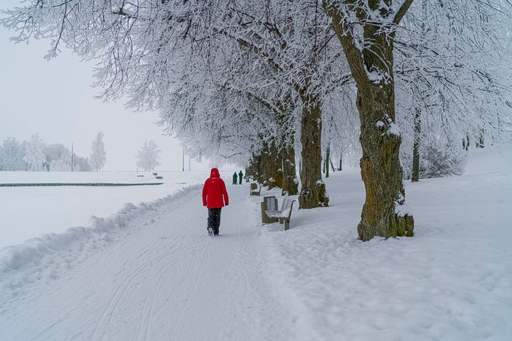 En person i röd jacka går längs en snötäckt väg kantad av träd.