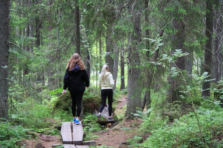 Två personer går längs en stig i en grön skog.
