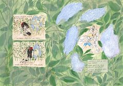 Juliana Hyrri: uppslag  ur den grafiska  romanen Lellikki  (Gullegris), 2025, gouache, blyertspenna  och tusch på papper.