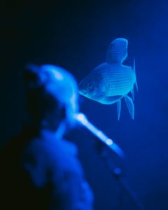 Harold Hejazi Omniscient Harjus 2025 Performance, Turku Biennale Turun Kaupunginteatteri I  Åbo Stadsteater I Turku Cuty Theatre kuva I foto I photo: Jussi Virkkumaa