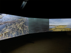 Marcus Lerviks Tech Nature 2025 videonstallaatio, 4k videoteos 2 kanavaa I  videoinstallation, 4k videoverk 2 kanaler I video  installation, 4k video 2 channels kuva I foto I photo: Marcus Lerviks