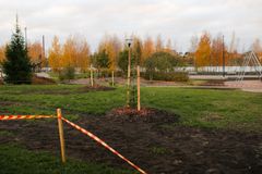 En park med nyplanterade träd omgivna av höstfärgade träd i bakgrunden.