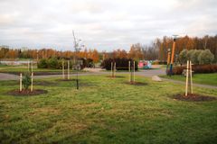 En gräsyta med nyplanterade träd, omgiven av en park med promenadstigar och höstfärgade träd i bakgrunden.