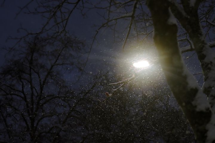 Katuvalo valaisee pimeässä illassa lumisateen ja paljaat puiden oksat.