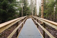 Gångbro av trä genom en skog med barrträd och björkar.