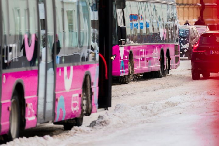 Kaksi vaaleanpunaista linja-autoa lumisella kadulla.