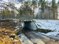 Alikulkutunneli lumisessa maisemassa, vieressä metsää ja kerrostaloja.