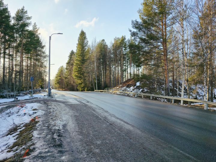 En asfalterad väg genom en skog med snö på marken och några lampor längs vägen under en solig dag.