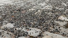 Gatstenar täckta med grus.