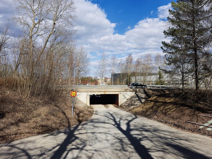 Vy av en väg som passerar under en bro med träd och en blå himmel i bakgrunden.