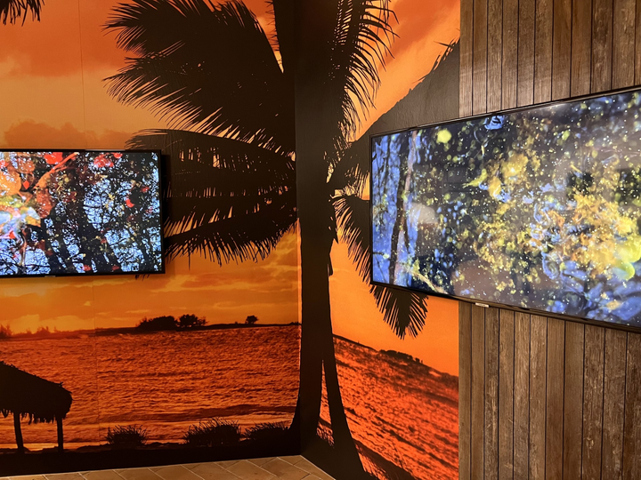 Marcus Lerviks: Seeing is Believing 2024 3-kanavainen videoinstallaatio. Kuva: Marcus Lerviks