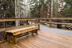 Puinen penkki ja kävelyreitti metsässä.