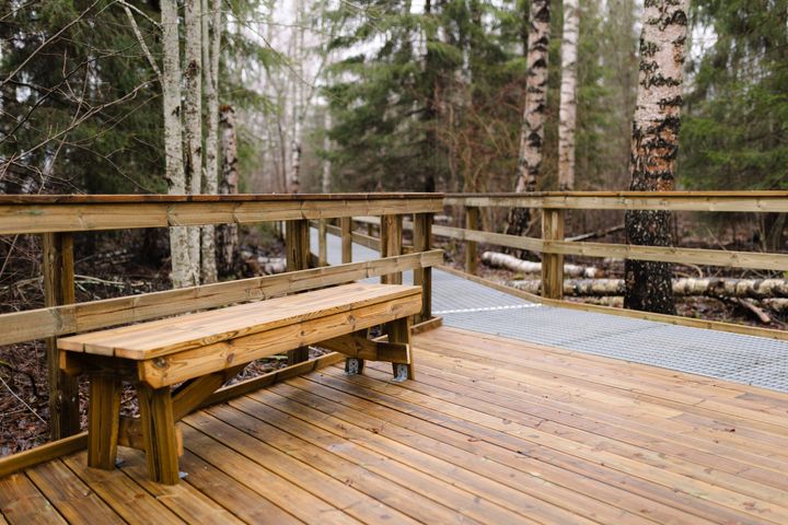 Puinen penkki ja kävelyreitti metsässä.