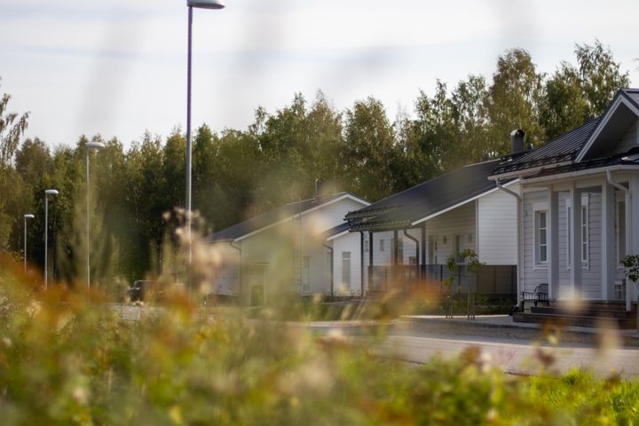 Kuvassa pieniä valkoisia puutaloja rauhallisella kadulla, taustalla vehreää metsää.