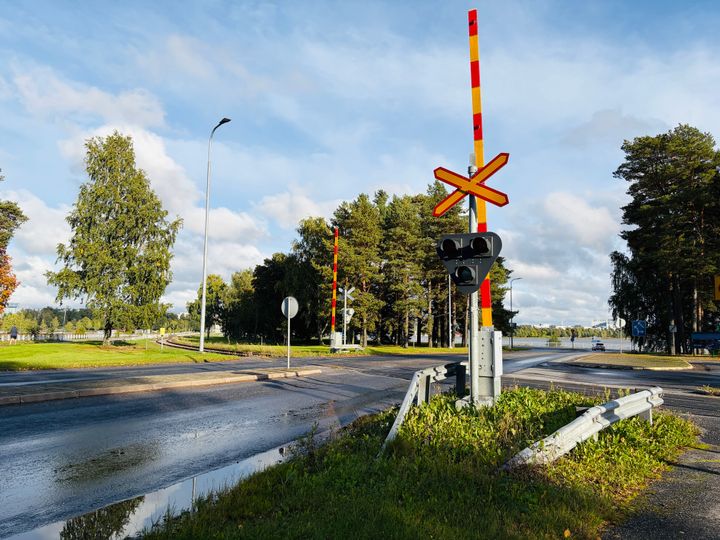 En järnvägskorsning med bommar och signaler, omgiven av träd.