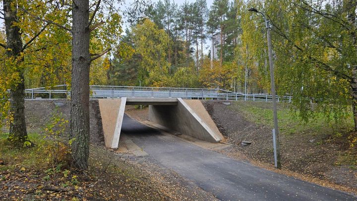 Ny bro över gång- och cykelväg i skogsmiljö.