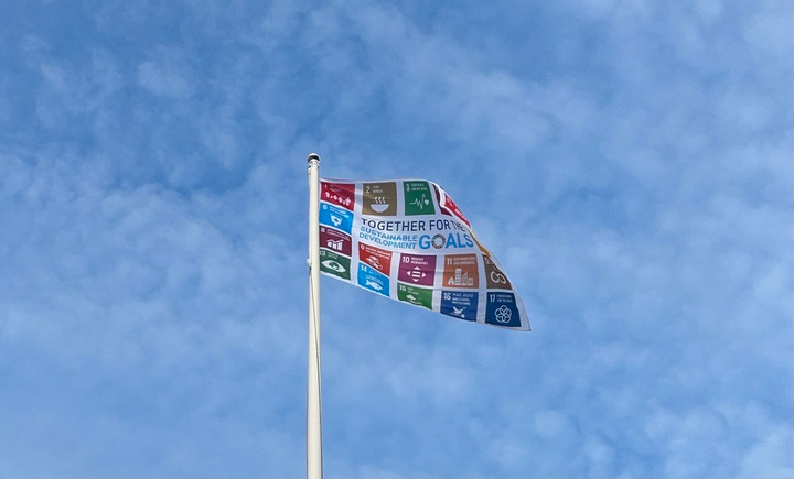 VAMK participates in SDG flag day.