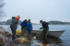 Koitajoen ainutlaatuista jokinuottausta tuetaan ja sen avulla saadaan siian kutualueita ennallistattua.