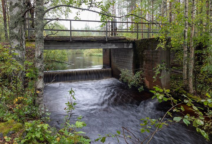 Suomujoella%20Patvinsuon%20kansallispuistossa%20poistetaan%20nousueste%20ja%20ennallistetaan%20kalojen%20kutualueita%20ja%20poikaselinymp%E4rist%F6j%E4.