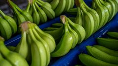 S-ryhmässä myydään vuosittain noin 45 miljoonaa kiloa banaania, jotka hankitaan pääosin Costa Ricasta ja Panamasta.