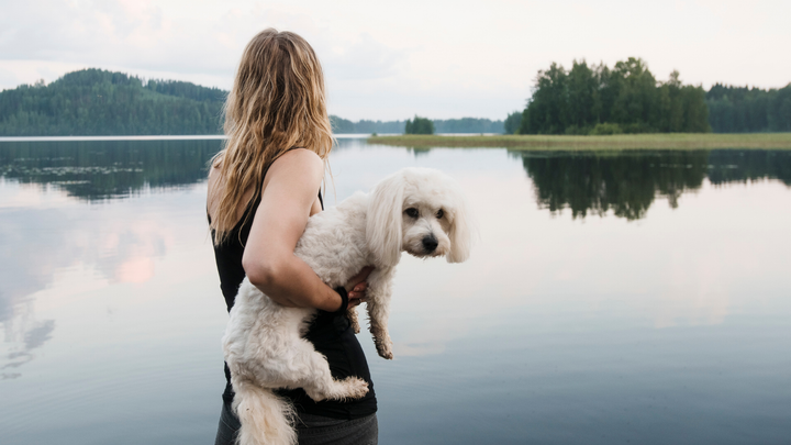 Suomalaiset ostavat lemmikeilleen entistä tasokkaampaa ravintoa.