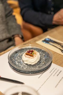 Kokkikisan annosten parhaimmistoa: pavlova pipari-karpalomoussella.