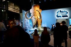 Valtavat, jääkauden jättiläisiä esittävät eläinrobotit herättivät ihastusta oppilaissa.