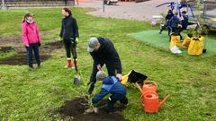 Cirka 20 olika trädslag planterades i den nya parken vid Mika Waltarin koulu. Under hösten ska parken få informationsskyltar.