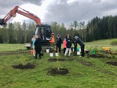 Med gemensamma krafter grundades en trädslagspark vid skolan Mika Waltarin koulu i Borgnäs i maj. Talkodagen bjöd på en mysig gemenskapskänsla. Både stor som liten jobbade sida vid sida för det gemensamma projektet.
