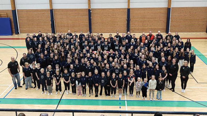 Kuvassa Vilpas ry:n lentopallojaoston harrastajia