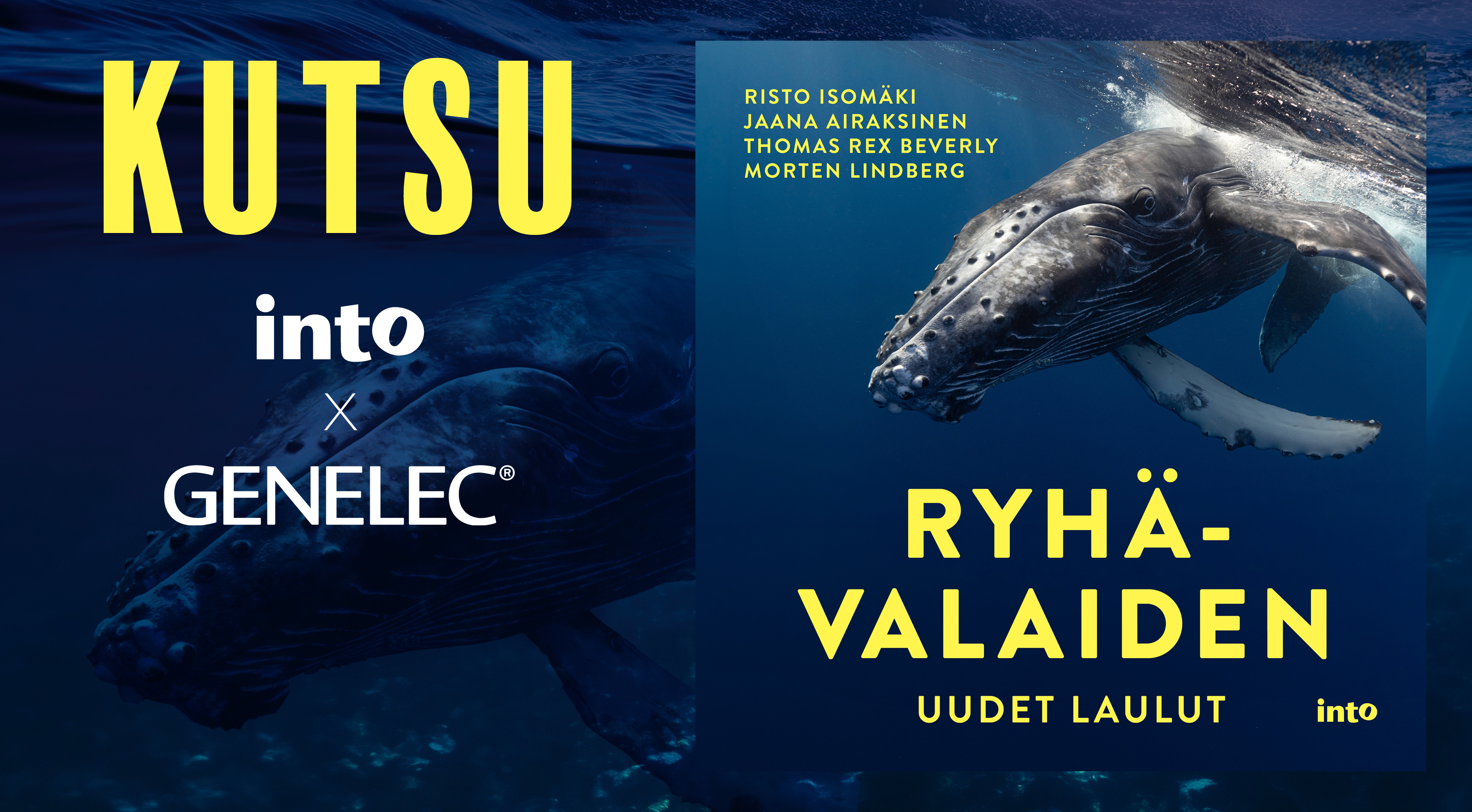 Helsingin Kirjamessuilla esitellään valaiden laulua hyödyntävä tilaääniteos