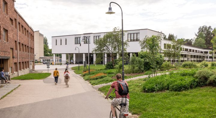 Jyväskylän yliopiston pääkampus ja L-rakennus kesäisenä ja aurinkoisena päivänä.