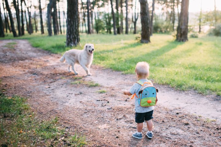 Etualalla poika selin seisomassa hiekkatiellä, taaempana vaalea koira kävelee kohti poikaa.