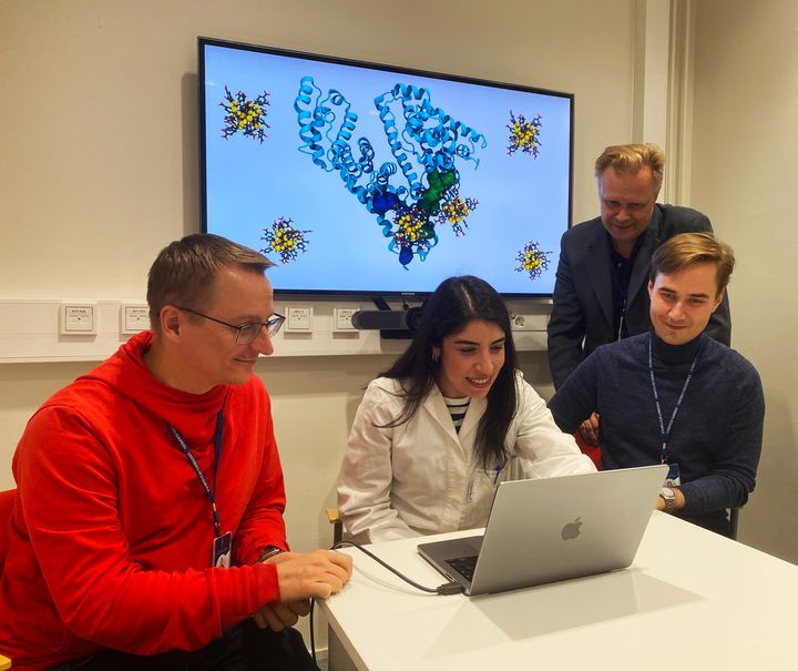 BIOINT- ja CHIRAL-SENSE-projektien tutkijatiimi. Vasemmalta Sami Malola, María Francisca Matus, Hannu Häkkinen ja Antti Pihlajamäki