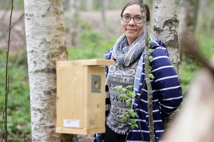Jyväskylän yliopiston apulaisprofessori Suvi Ruuskaselle on myönnetty arvostettu ERC Consolidator rahoitus.