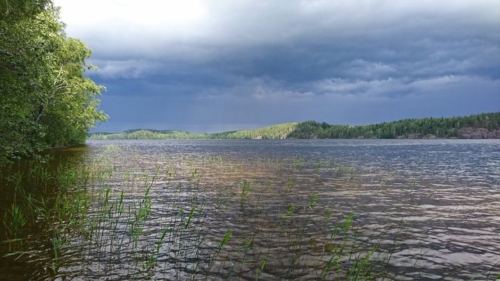 Maalta peräisin oleva orgaaninen aines tummentaa vesiä ja vaikuttaa ekosysteemin energiavirtoihin.
