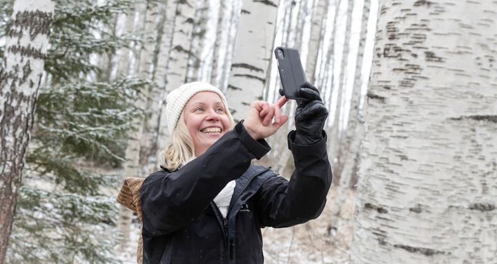 Raija Hämäläinen käyttää kännykkää metsässä muuttolintujen laulun tallennukseen.