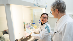 Solu- ja molekyylibiologian professori Varpu Marjomäki on tutkinut pitkään erilaisia molekyylejä, sekä jo olemassa olevia lääkkeitä, uusia syntetisoituja molekyylejä, että luonnosta peräisin olevia molekyylejä.