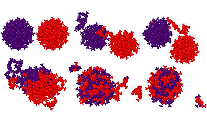 Atomitason visualisointi mekanismista, jossa kahden tiolaattisuojatun 144 kulta-atomin klusterin kohdatessa muodostuu yksi suurempi klusteri. Visualisointi: Maryam Saboobi Asre Hazer, Jyväskylän yliopisto.