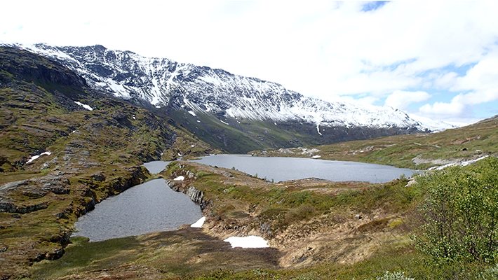 Tovatna-järvi Keski‑Norjassa oli yksi tutkimuskohteista.