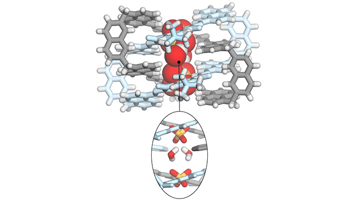 Sulfaatti sitoutuneena onteloon.