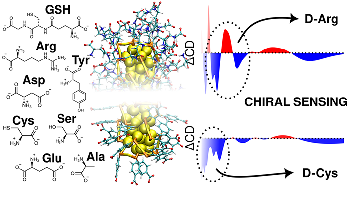 Havainnollistava kuva tutkimuksessa käytetyistä kultaklustereista, pienistä biomolekyyleistä ja kiraalisen tunnistamisen mahdollistavista spektrimuutoksista. Grafiikka: Sami Malola Jyväskylän yliopistosta.