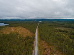 Tutkijoiden kehittämä työkalu auttaa visualisoimaan metsänhoitoon liittyvien päätöksien vaikutuksia luonnon monimuotoisuuteen, metsästä saataviin taloudellisiin tuloihin, metsän virkistyskäyttömahdollisuuksiin ja hiilitasapainoon.