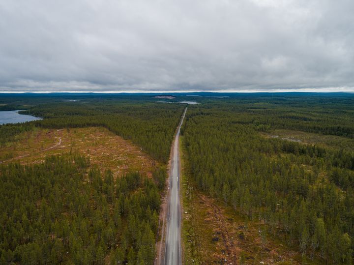 Tutkijoiden kehittämä työkalu auttaa visualisoimaan metsänhoitoon liittyvien päätöksien vaikutuksia luonnon monimuotoisuuteen, metsästä saataviin taloudellisiin tuloihin, metsän virkistyskäyttömahdollisuuksiin ja hiilitasapainoon.
