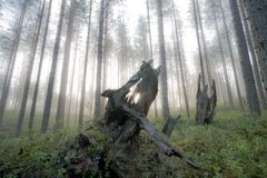 Tervetuloa julkaisutilaisuuteen 15.9.2026 klo 14–16 Tietoniekka-saliin tai seuraamaan tapahtumaa suorana Yle Areenassa. Tilaisuus on maksuton ja avoin kaikille.