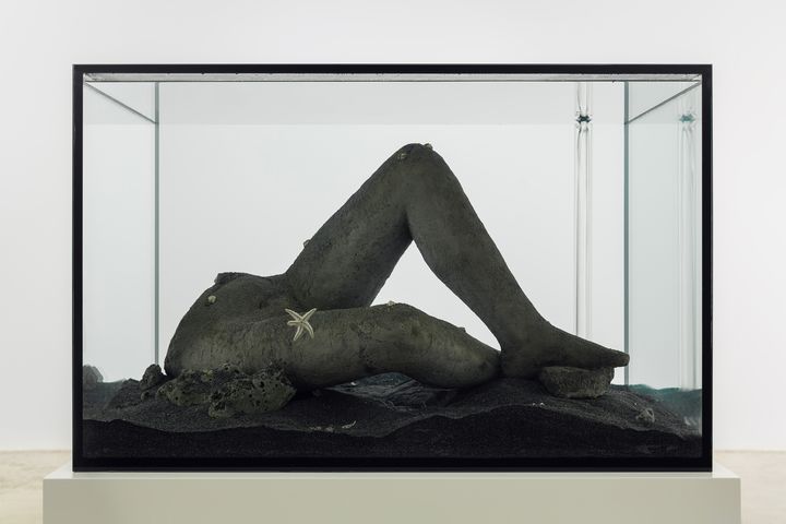 Pierre Huyghe, Abyssal Plain, 2015. Taiteilijan & Hauser & Wirth luvalla, London. Kuva: Zak Kelley © Pierre Huyghe