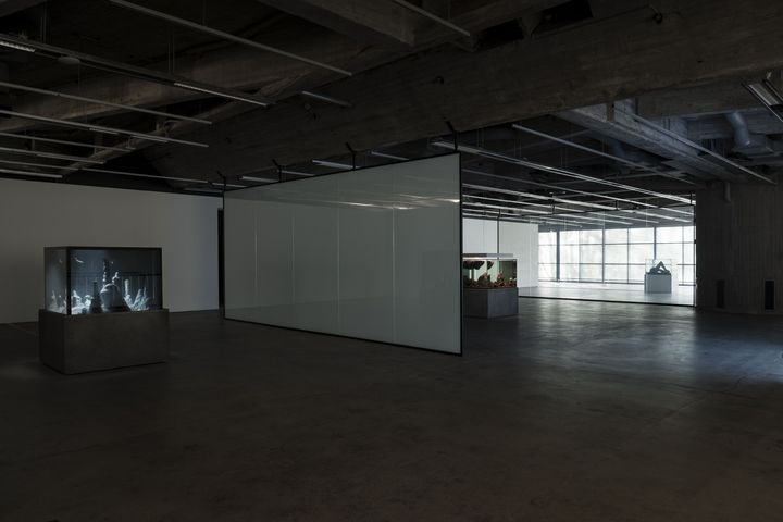 Pierre Huyghe: Chimeras, 7.6.–22.10.2023. In Collection: Saastamoinen Foundation & EMMA – Espoo Museum of Modern Art. © Paula Virta / EMMA